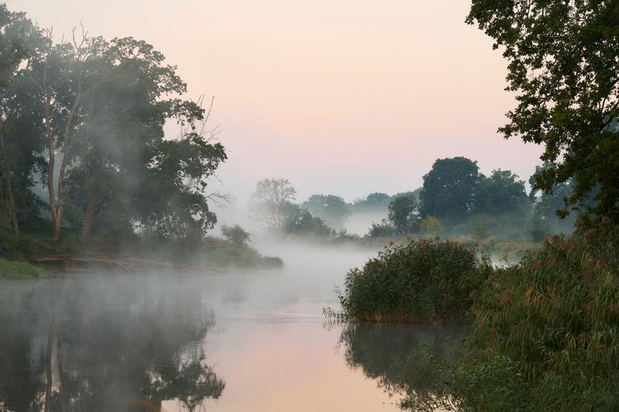 Warta river in the morning